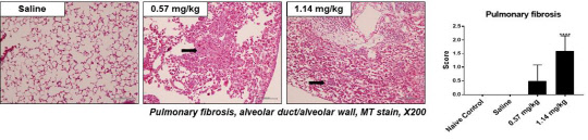 이규홍 KIT 박사 연구팀은 가습제 살균제 성분 중 하나인 'CMIT/MIT'가 폐 섬유화를 일으킨다는 사실을 동물실험으로 확인했다.  KIT 제공